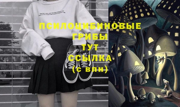 Альфа ПВП Вязники