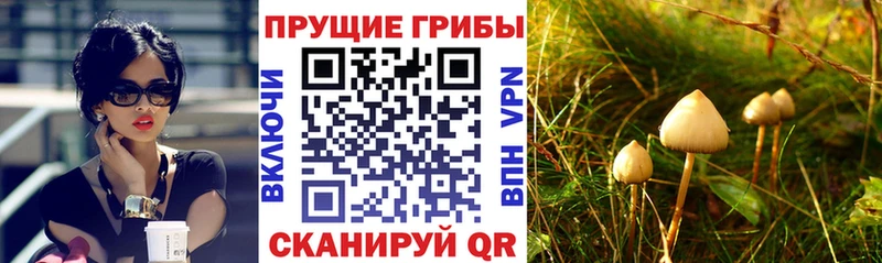 Галлюциногенные грибы MAGIC MUSHROOMS  Катав-Ивановск 